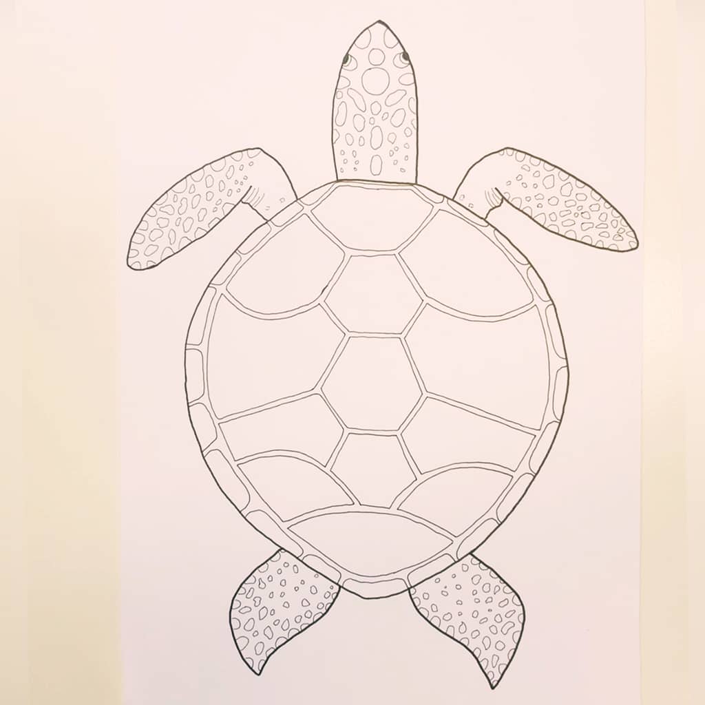 Step 1: Draw a sea turtle