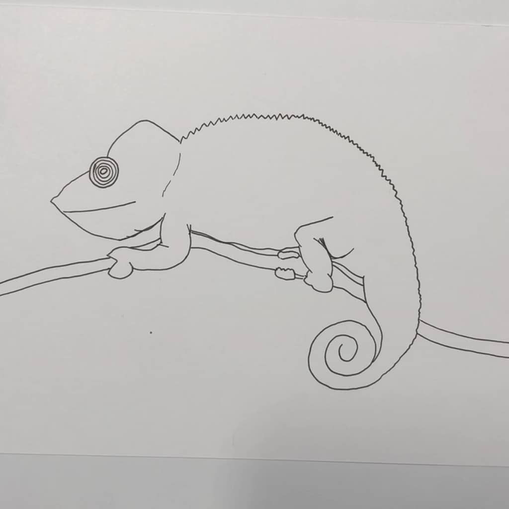 Step 1: Draw a simple chameleon