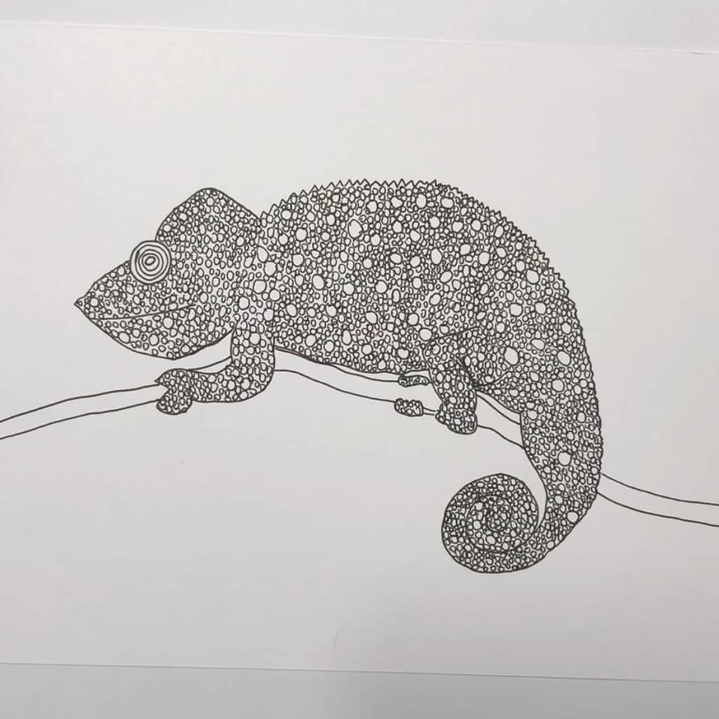 Step 2: Continue until your chameleon is completely filled with your pattern