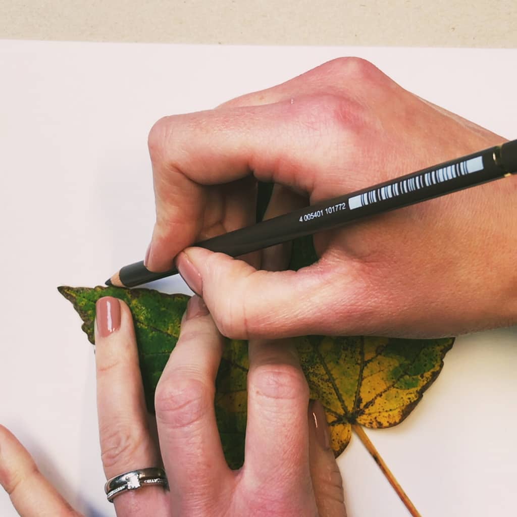 Step 3: Trace your leaf on your paper