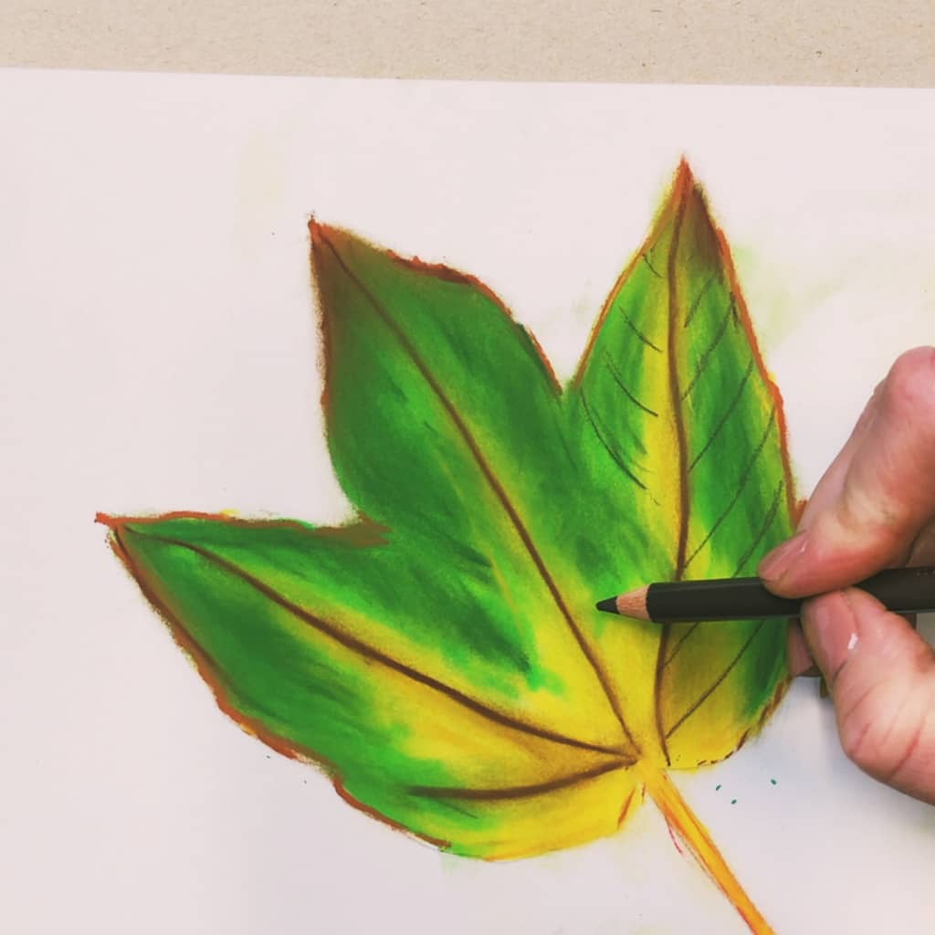 Step 5: Add small details with a colored pencil