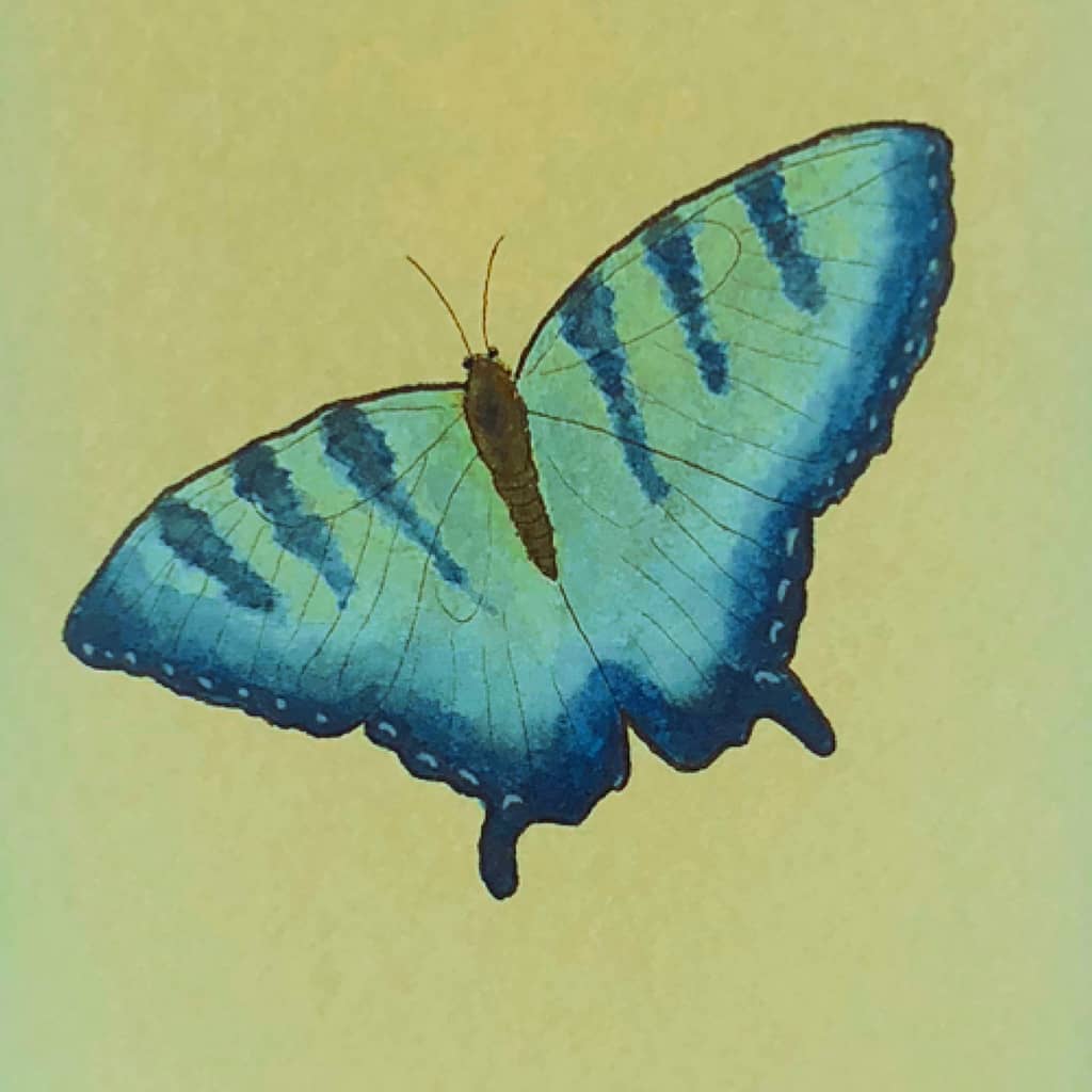 Step 5: You have completed your mindful watercolor butterfly