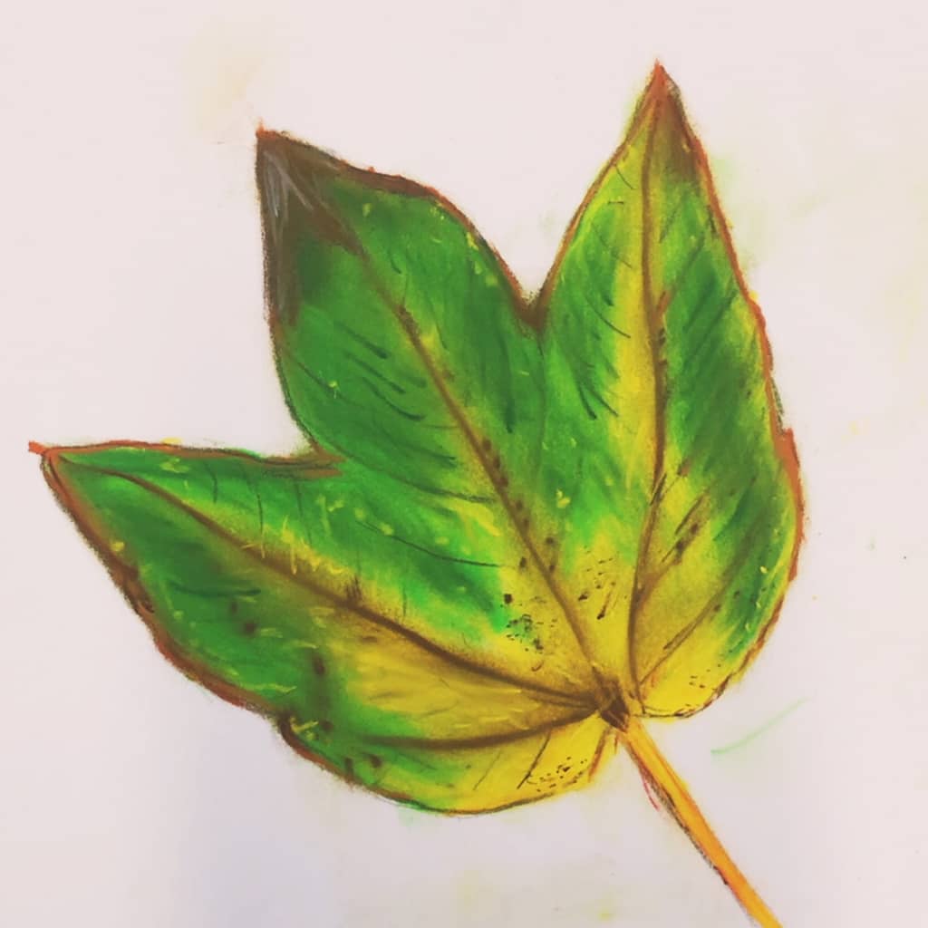 Step 6: Add some more details and you're done with this mindful leaf drawing exercise