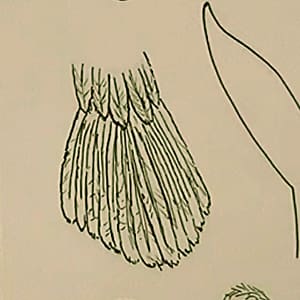 Step 2: Use a smaller pen to add details