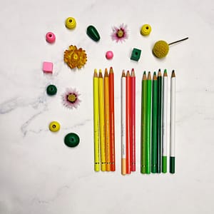 Supplies for the citrus drawing exercise