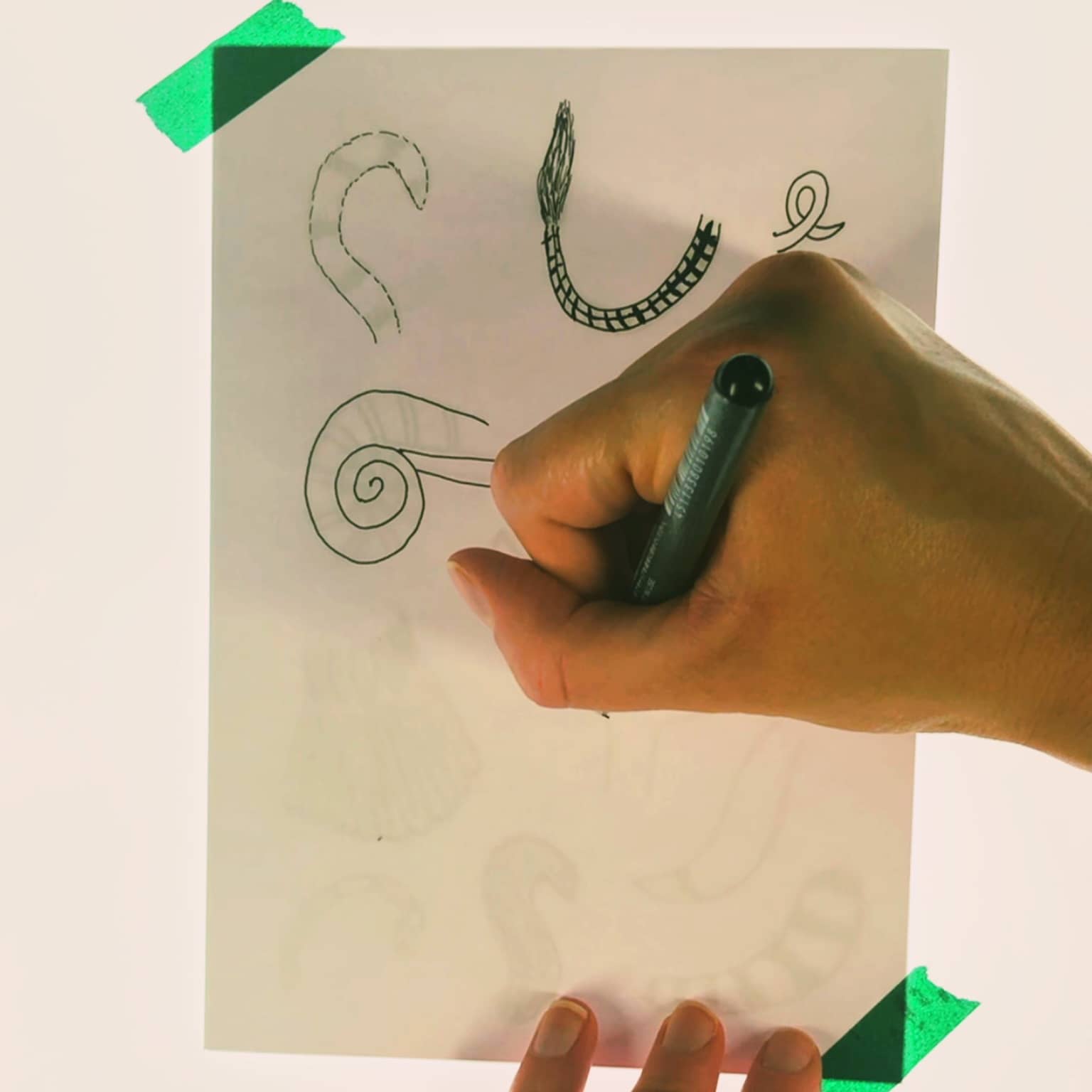 Step 2: Draw them
