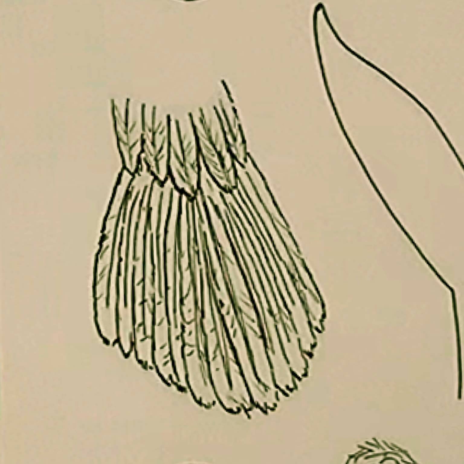 Step 2: Use a smaller pen to add details