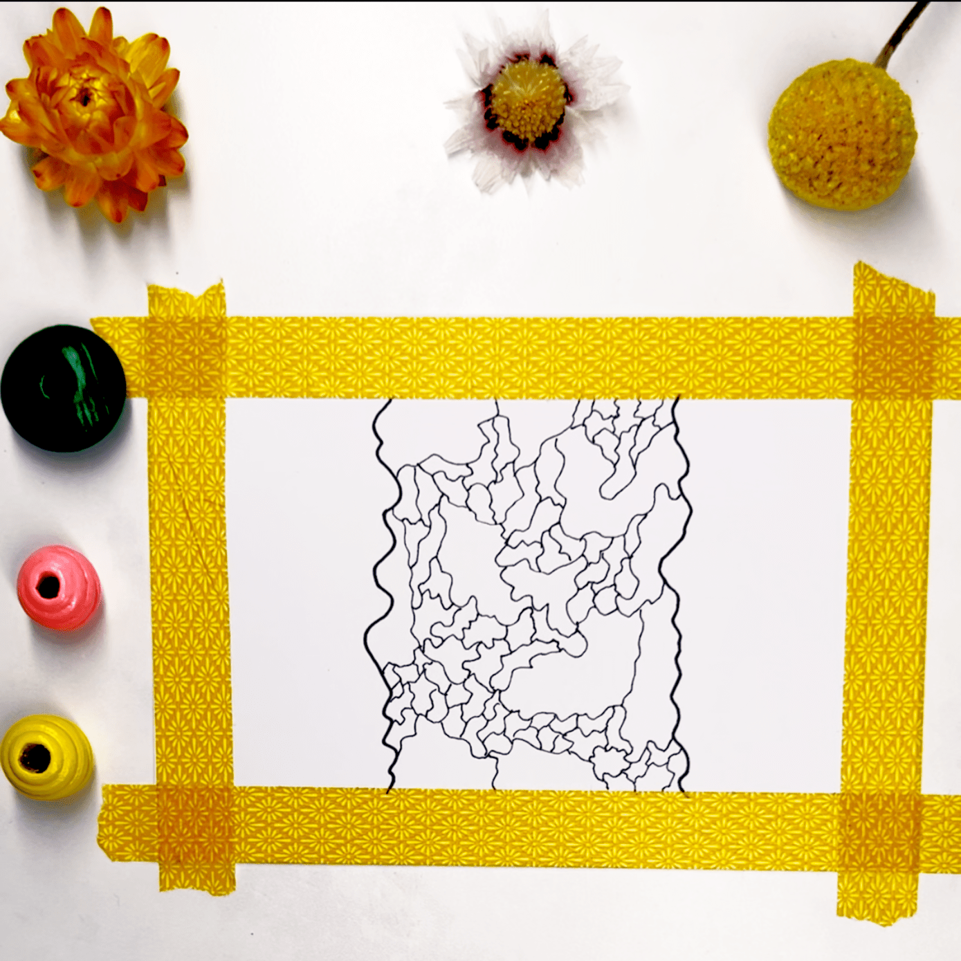 Step 3: Divide some of these sections into smaller areas with additional squiggly lines.