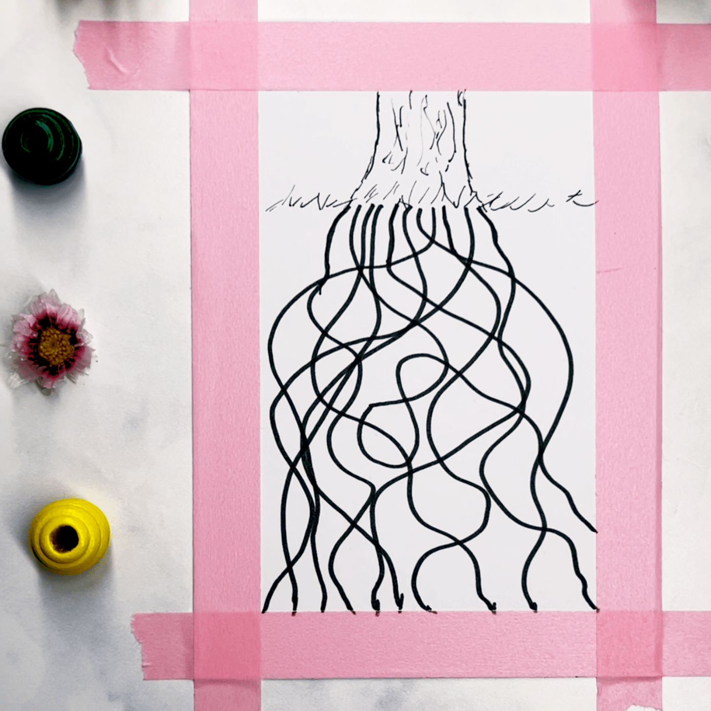 Step 2: Draw free-form lines for the roots